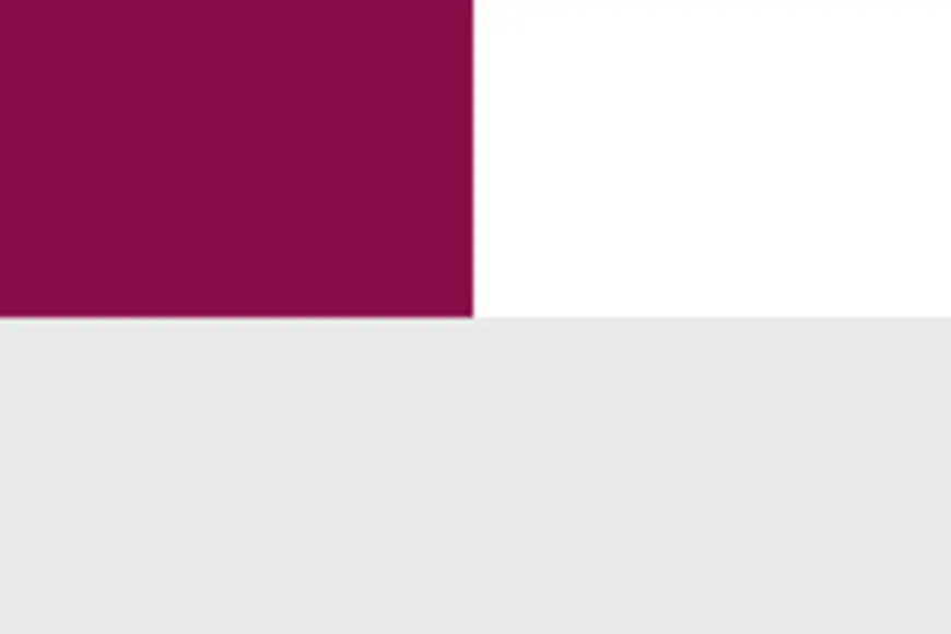 Die Suchfunktion auf der Startseite